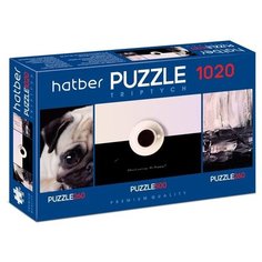Пазл Hatber Premium Triptych