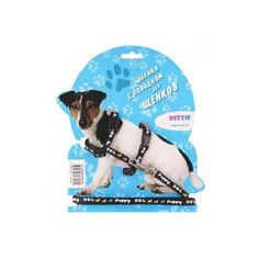 Шлейка с поводком DEZZIE для