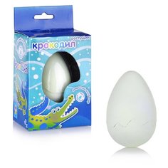 Игровой набор 1 TOY Яйцо с