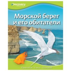 Discovery Education. Морской Machaon