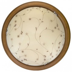Накладной светильник Karissa TL9650Y-00OA Top Light