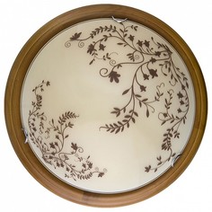 Накладной светильник Irene TL9630Y-00OA Top Light