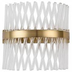 Бра Adelard 642024101 Mw Light