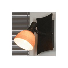 Спот Spilimbergo LSA-3001-01 Lussole