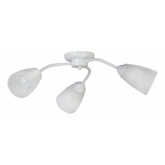 Потолочная люстра V3258/3PL Vitaluce