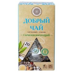 Чай черный Фабрика здоровых продуктов Добрый Гармонизирующий в пирамидках, 20 шт.