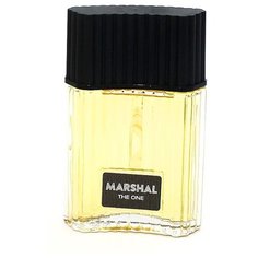 Туалетная вода Festiva Marshal The One, 100 мл