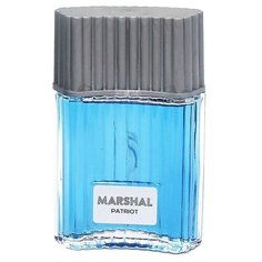 Туалетная вода Festiva Marshal Patriot, 100 мл