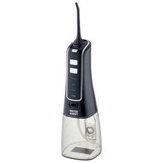 Ирригатор Waterdent Smart Flosser V300, черный
