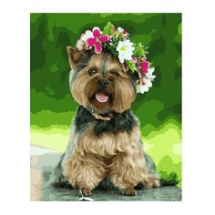 ВанГогВоМне Картина по номерам "Йоркширский терьер с венком", 40х50 см (ZX 22041)