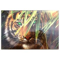 Разделочная доска GiftnHome CB-Tiger 20х30х0.4 см тигр