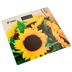 Весы DELTA D-9240