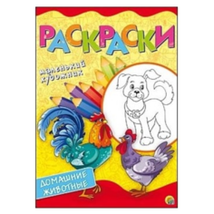 Рыжий кот Раскраски А4. Домашние животные