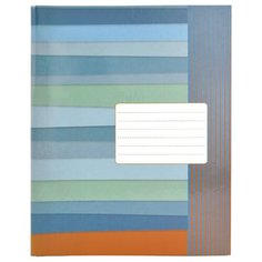 Action! Тетрадь "Полосатая тема" AN 16081/5, клетка, 160 л. голубой/синий