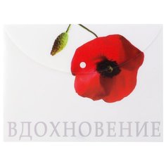 КД Конверт на кнопке, А4 мак