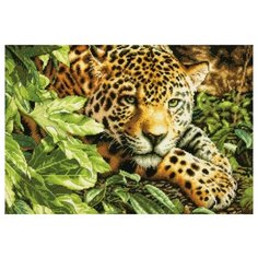 Dimensions Набор для вышивания крестиком Leopard in Repose 40,6 х 27,9 см (35300)