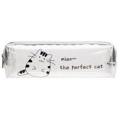 Action! Пенал (АРС4302) прозрачный