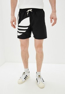 Шорты спортивные adidas Originals