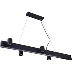 Подвесной светильник Vele Luce VL10142P24