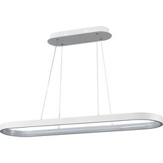 Подвесной светильник Vele Luce VL7121P12