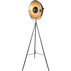 Торшер Globo 58323S