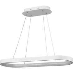 Подвесной светильник Vele Luce VL7121P09