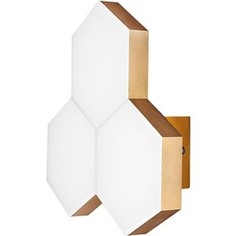 Настенный светодиодный светильник Lightstar 750631