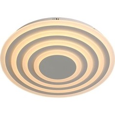 Потолочный светодиодный светильник ST-Luce SL847.502.04