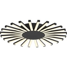 Потолочный светодиодный светильник ST-Luce SL839.412.24