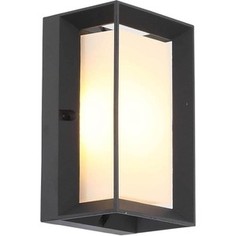 Уличный настенный светодиодный светильник ST-Luce SL077.411.01