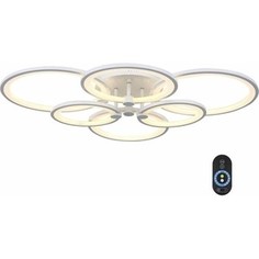 Потолочная светодиодная люстра ST-Luce SL867.502.06