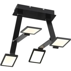 Потолочная светодиодная люстра ST-Luce SL841.402.04