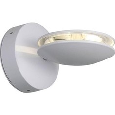 Уличный настенный светодиодный светильник ST-Luce SL090.501.03