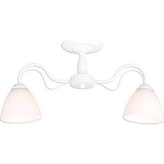 Люстра потолочная Imex MD.6550-2-S WH 2*60Вт E27