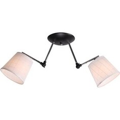 Люстра подвесная Imex MD.0717-2-S BK 2*60Вт E27