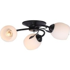 Люстра потолочная Imex MD.0403-3-S BK 3*60Вт E27