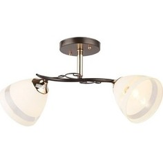 Люстра потолочная Imex MD.3202-2-S BK+FGD 2*60Вт Е27