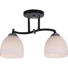 Люстра потолочная Imex MD.0480-2-S CH 2*60Вт E27