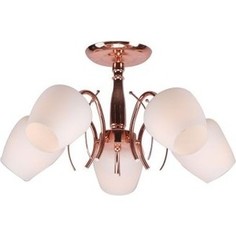 Люстра потолочная Imex MD.0576-5-S PGD 5*60Вт E27