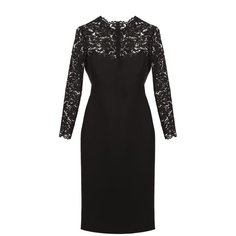 Приталенное платье с кружевным лифом и длинным рукавом Valentino
