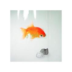 Штора для ванной комнаты Spirella Goldfish 1000097