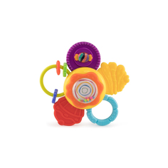 Игрушка развивающая Happy Baby Candy Flo