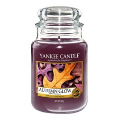 Ароматическая свеча Yankee Candle Очарование осени