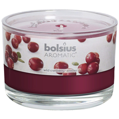Свеча ароматическая Bolsius в банке Клюква 6.3х9 см
