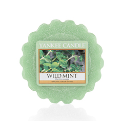 Ароматическая свеча-тарталетка Yankee candle Дикая мята 22 г