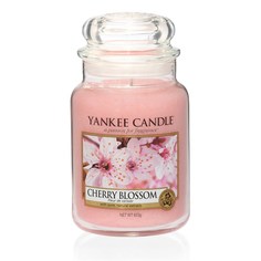 Ароматическая свеча Yankee Candle Цветение вишни (1542836E)