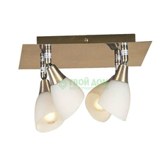 Спот Globo Frank 5451 4 (5451-4)