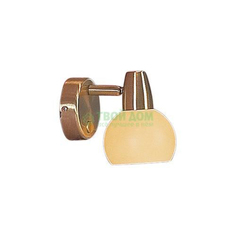 Спот CITILUX Бонго (CL516513)