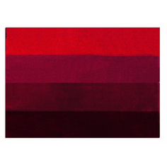 Коврик для ванны Spirella Four красный 60х90 см
