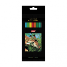 Карандаши цветные 12 штук Hatber Bkc_12270